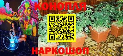 ПСИЛОЦИБИНОВЫЕ ГРИБЫ Будённовск