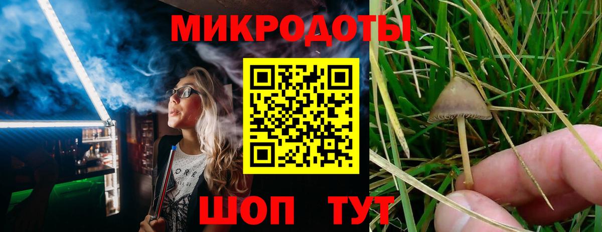 Краснодар  Галлюциногенные грибы прущие грибы  Вход с VPN 
